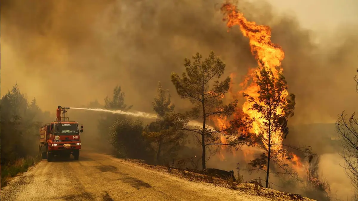 12 قتيلاً إثر حريق غابات ضخم في جنوب شرق تركيا‎