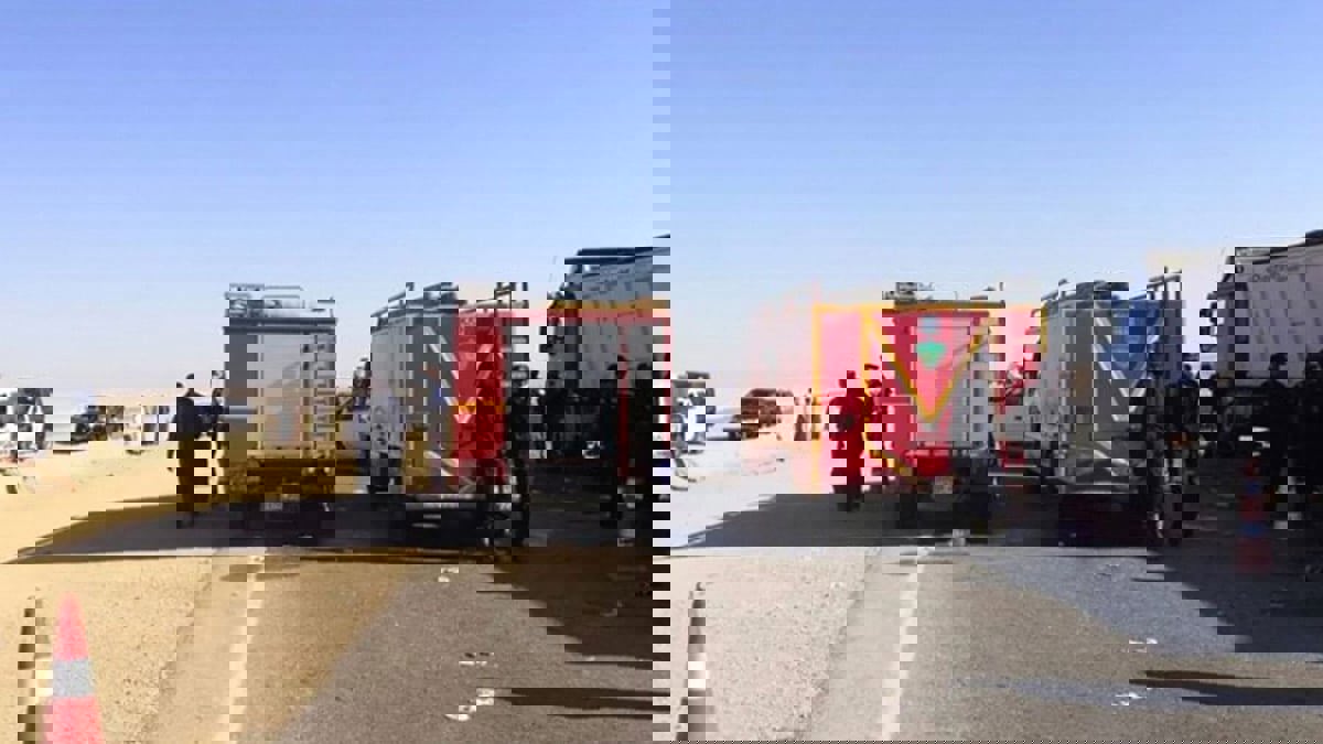 بعد تسببه بمقتل 23 شخصا.. النيابة العامة المصرية تأمر بحبس سائق "الحصان الذهبي"