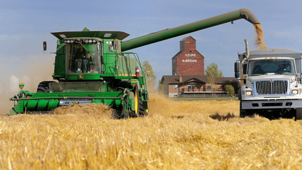 مجموعة بريكس تدعم مبادرة لتأسيس "بورصة للحبوب"