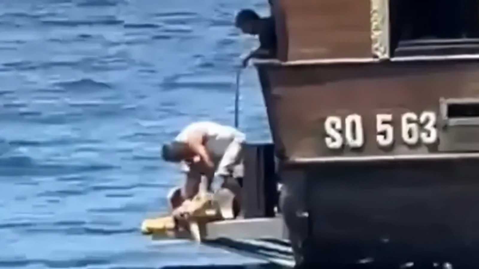 ذبح سلحفاة مهددة بالانقراض يثير غضبًا واسعًا في تونس (فيديو)