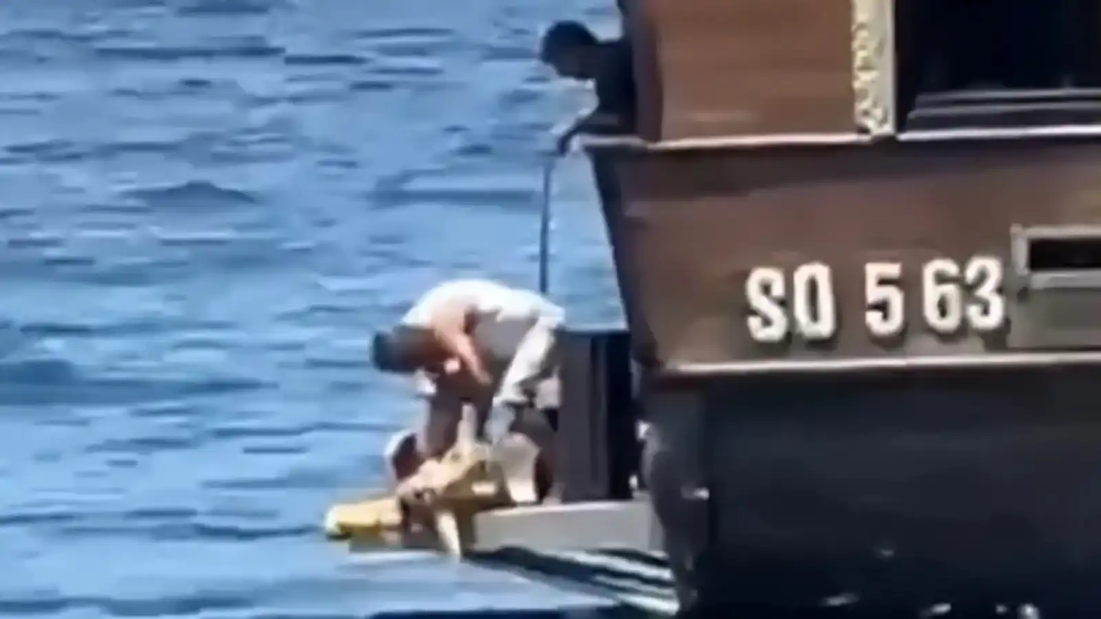 ذبح سلحفاة مهددة بالانقراض يثير غضبًا واسعًا في تونس (فيديو)