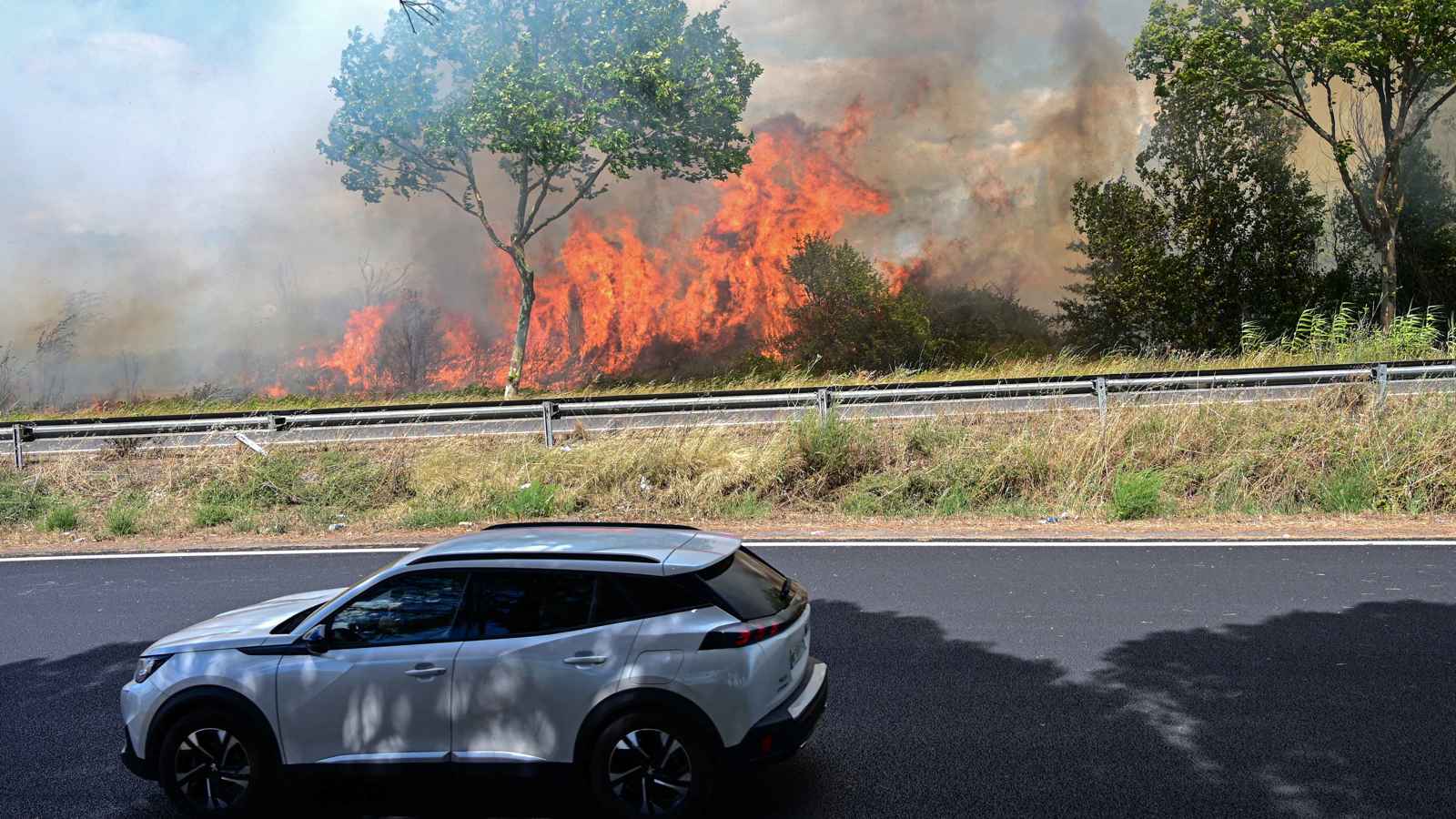 فرنسا.. حريق يلتهم الغطاء النباتي ويغلق طريقا مع إسبانيا