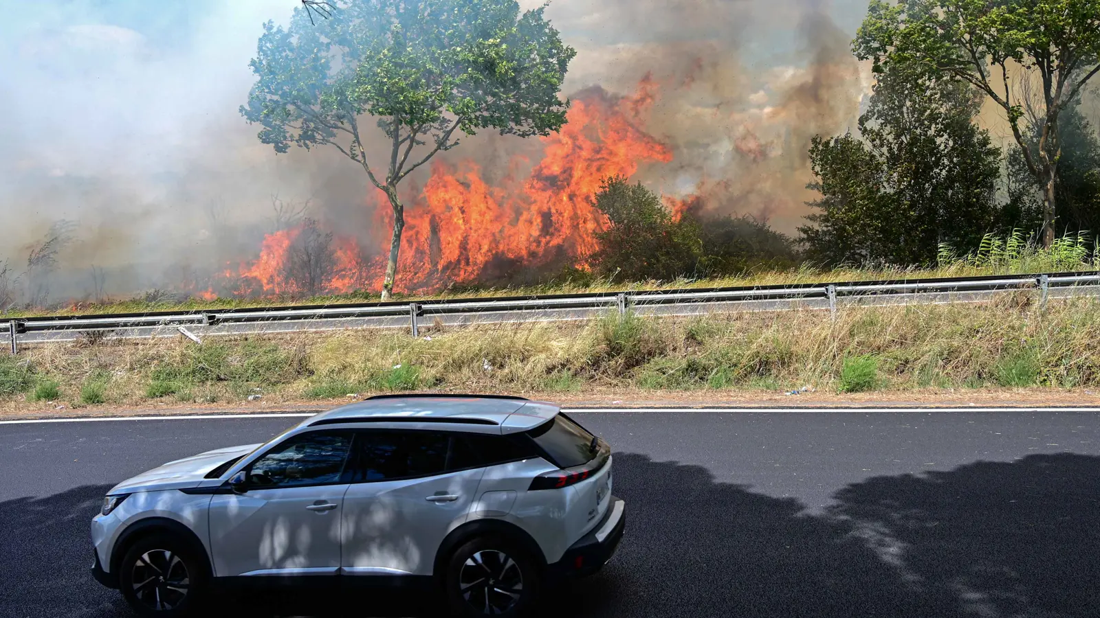 فرنسا.. حريق يلتهم الغطاء النباتي ويغلق طريقا مع إسبانيا