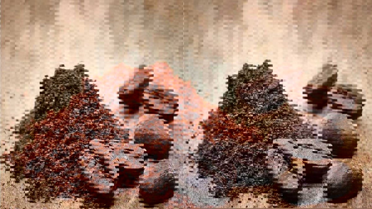 علاج جديد للزهايمر وباركنسون من بقايا القهوة