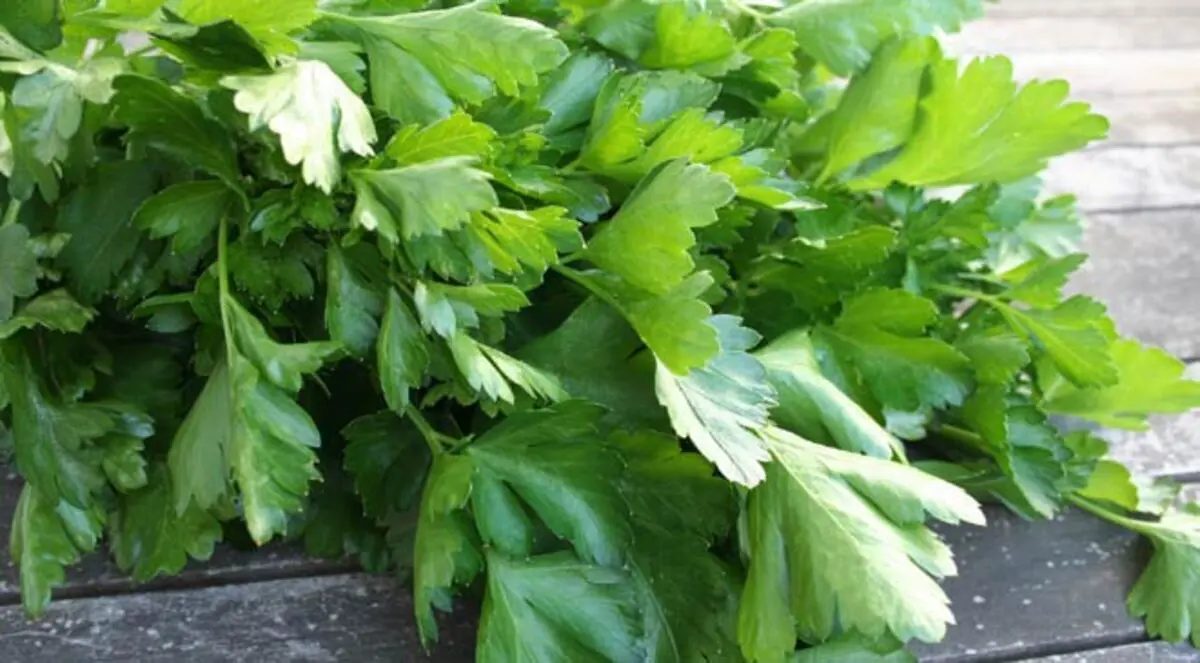 دراسة: البقدونس يقي من السرطان والسكري