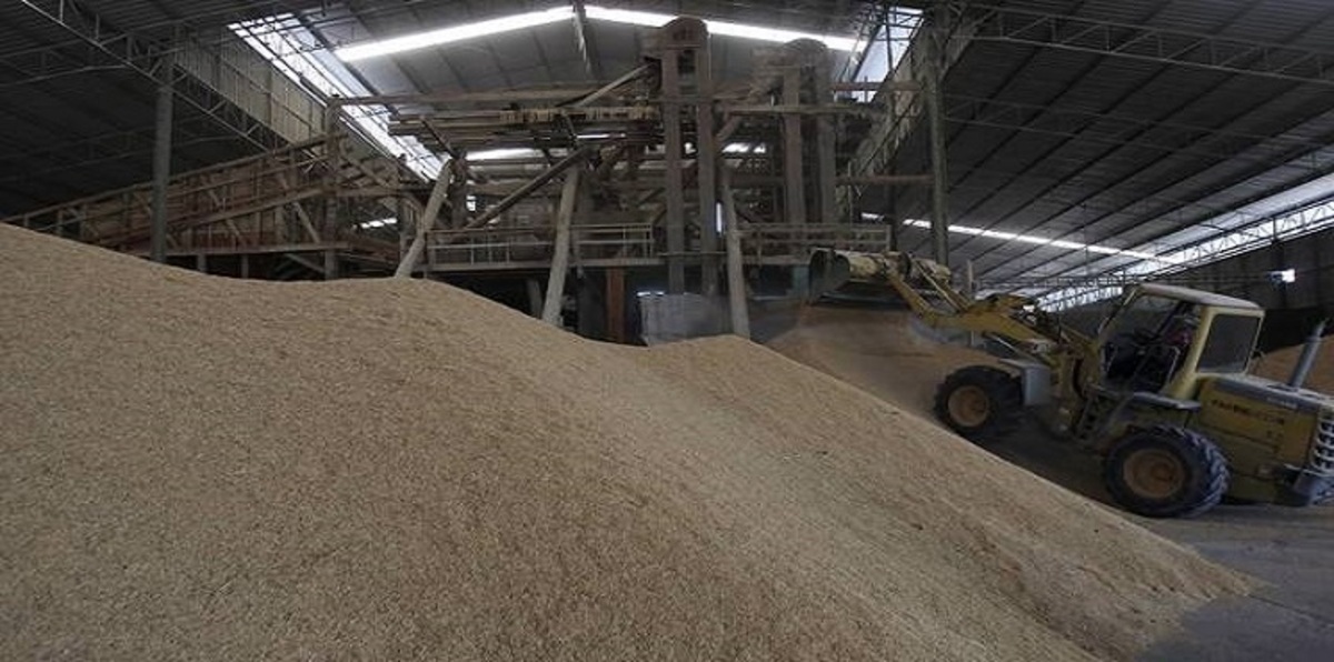 السعودية تشتري 620 ألف طن من القمح