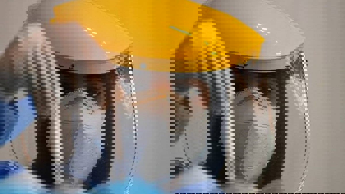 الإمارات تسجل 532 إصابة جديدة بفيروس كورونا و 7 حالات وفاة