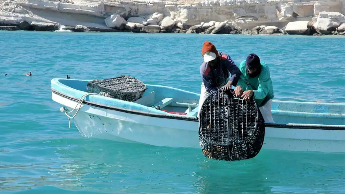 بعد 10 أيام في البحر.. مفقودا أشخرة يرويان تفاصيل محنتهما‎‎