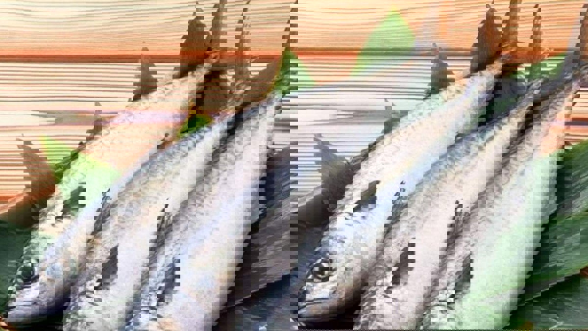 من بينها حماية القلب والمخ.. تعرف على فوائد مذهلة لتناول جلود الأسماك