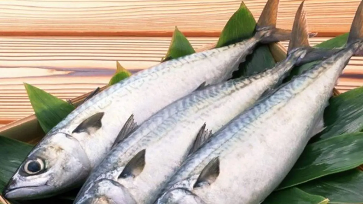 من بينها حماية القلب والمخ.. تعرف على فوائد مذهلة لتناول جلود الأسماك