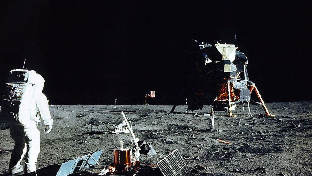 غرسة قطن تنمو على متن مركبة صينية على سطح القمر