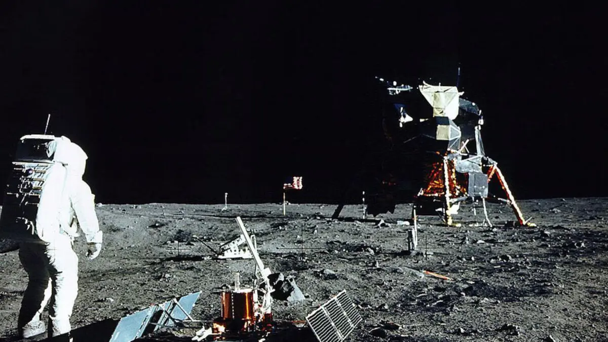 غرسة قطن تنمو على متن مركبة صينية على سطح القمر