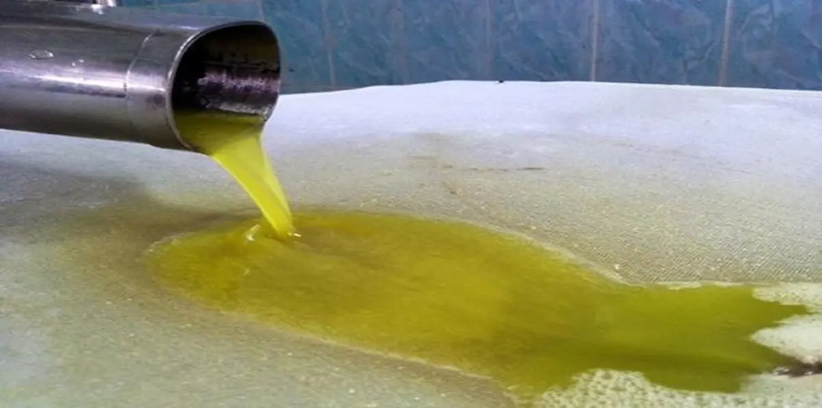 تونس الأولى عالمياً في تصدير زيت الزيتون