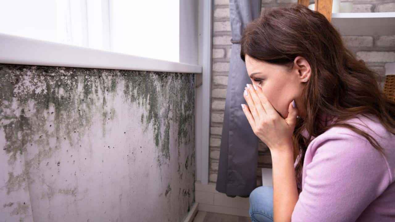 "العفن الأسود".. خطر قاتل يداهم صحتك من داخل منزلك