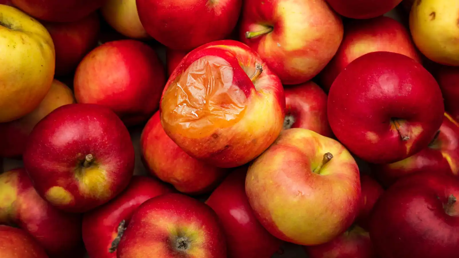 لا تتخلص من التفاح القديم.. فوائد صحية خفية