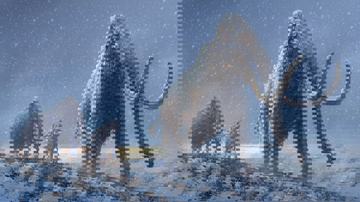 معلومات وراثية جديدة عن "الماموث الصوفي"