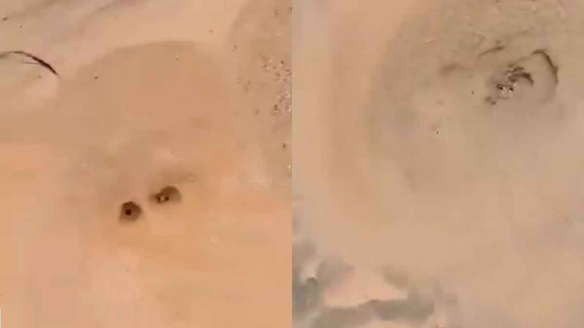 ظاهرة غريبة تثير حيرة وخوف السكان في السودان (فيديو)