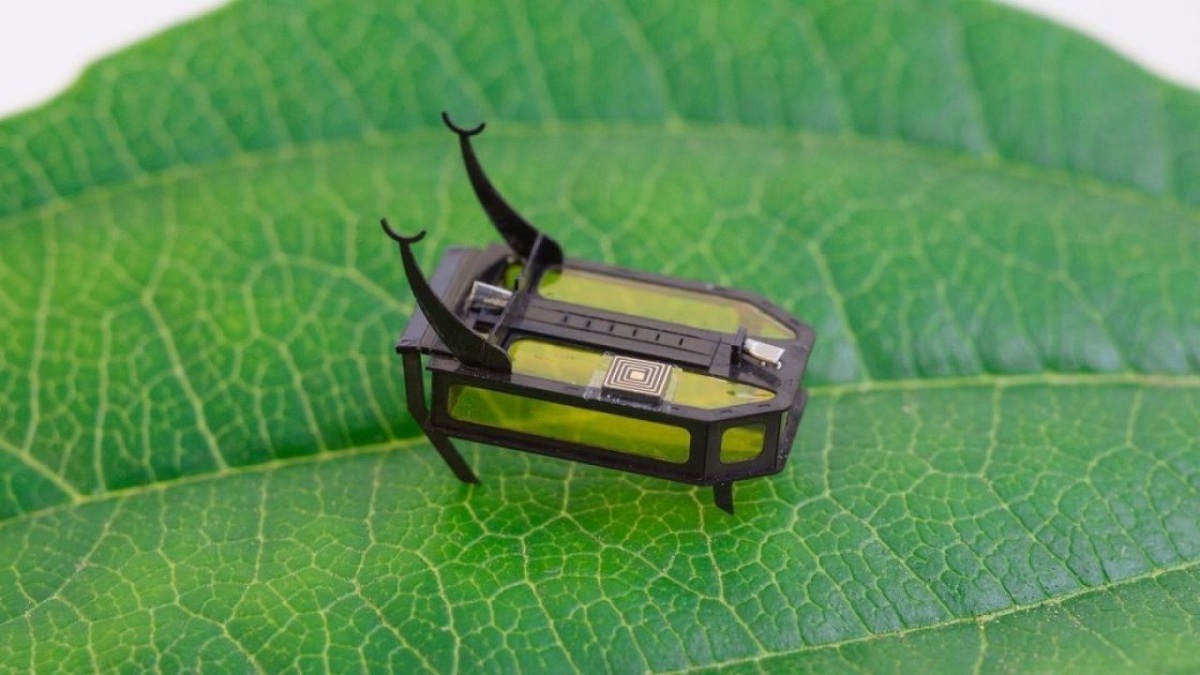 روبوتات على هيئة حشرات بقدرات مميزة (فيديو وصور)