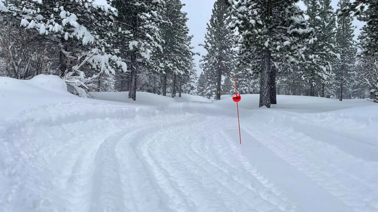 أحد أكبر الانهيارات الجليدية في أمريكا يحصد أرواح 8 متزلجين