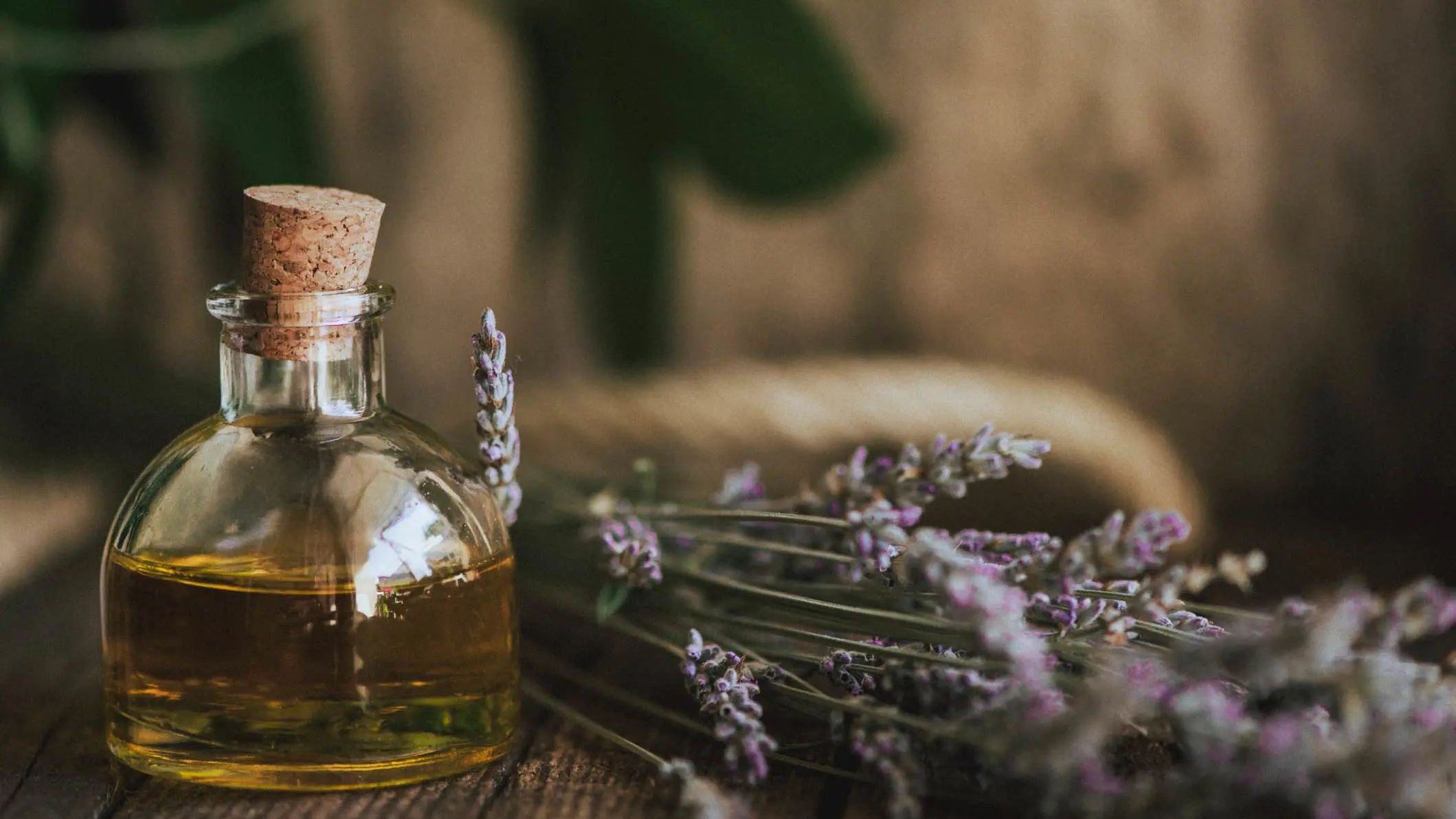 أحدها الأوكالبتوس.. 5 زيوت طبيعية لتخفيف الألم