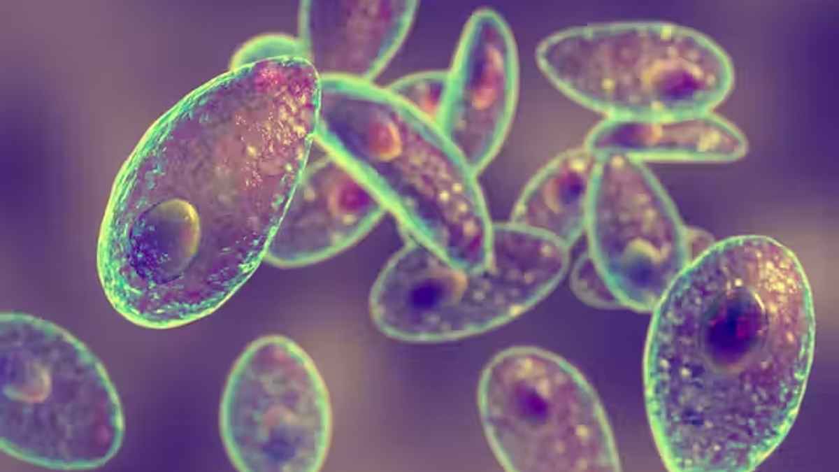 طفيلي يدمر خصوبة الرجال بدقائق.. دراسة تكشف الكارثة