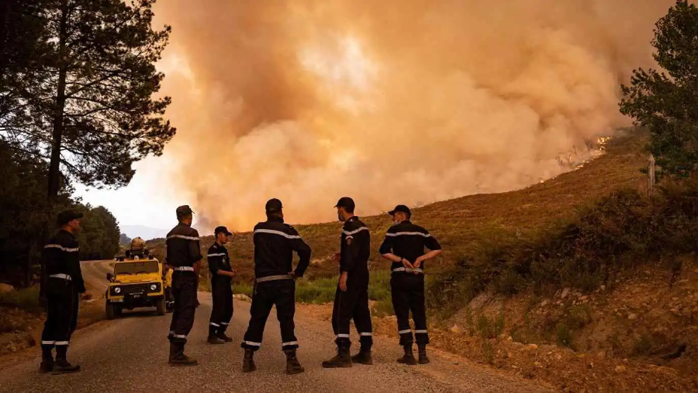 خسائر كارثية جراء حرائق الغابات في الجزائر