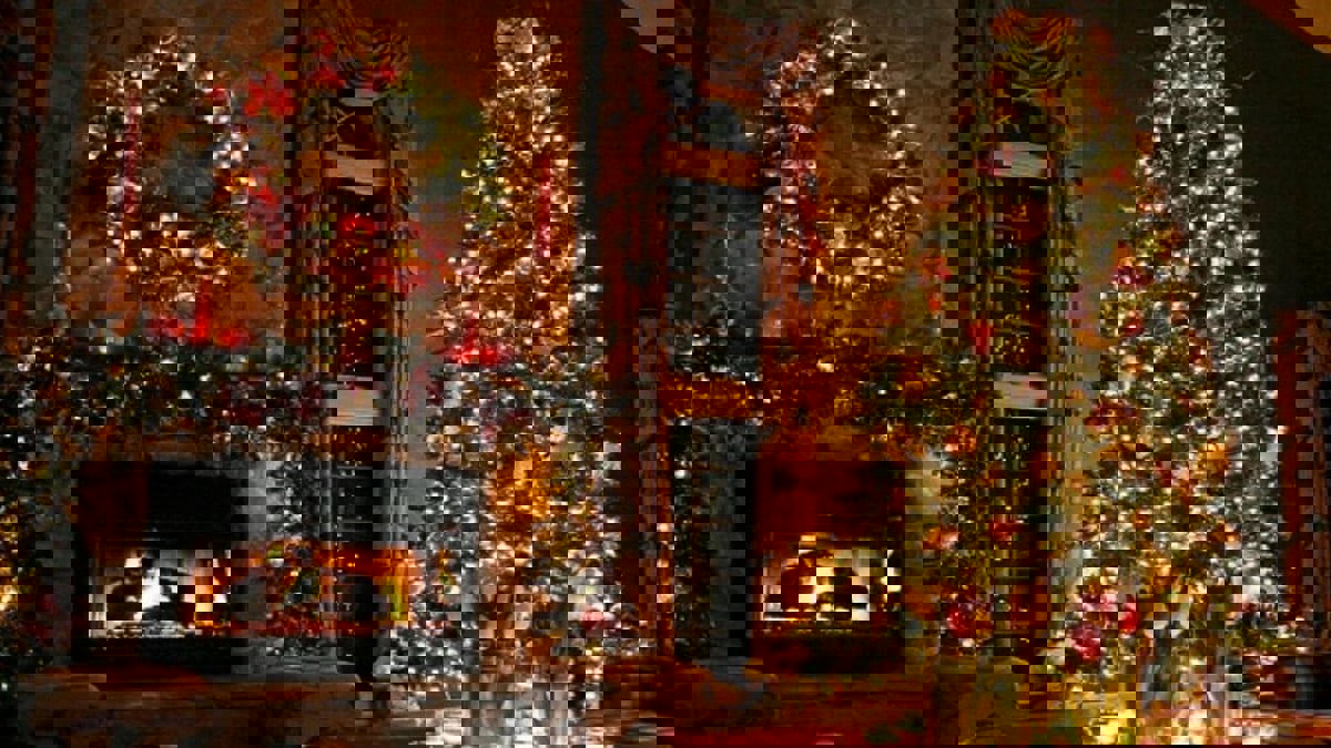 أنوار "شجرة الميلاد" الدامعة