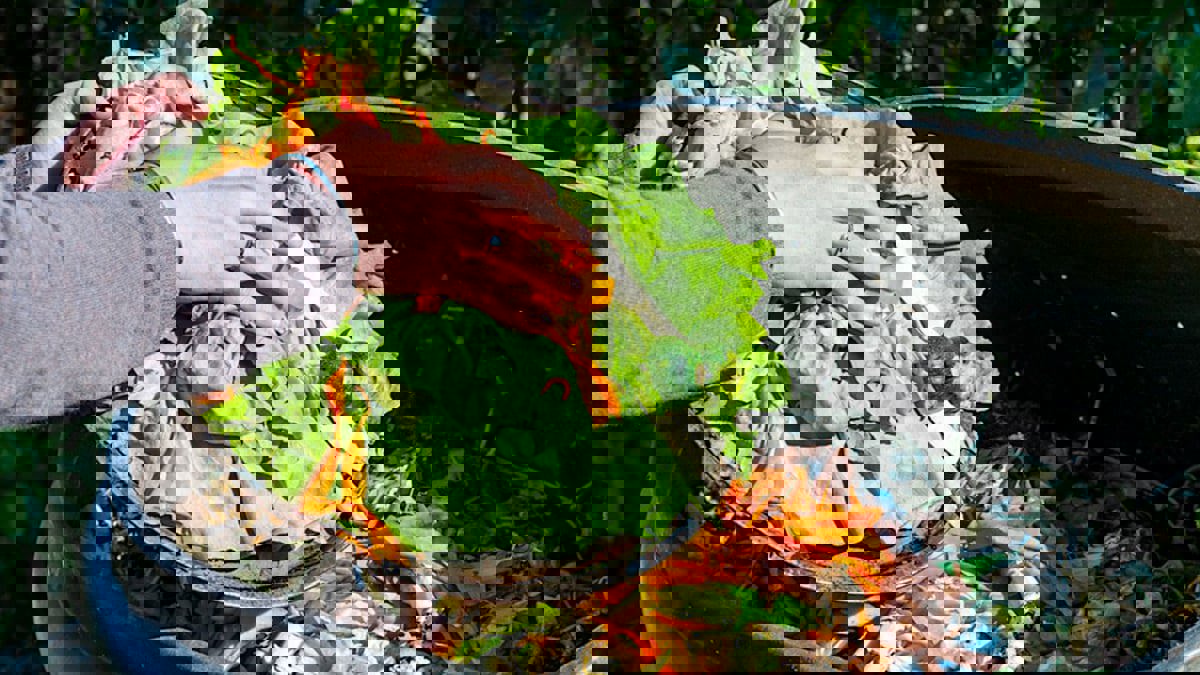 ابتكار صندوق ذكي يعالج بقايا الطعام المهدر في المنازل
