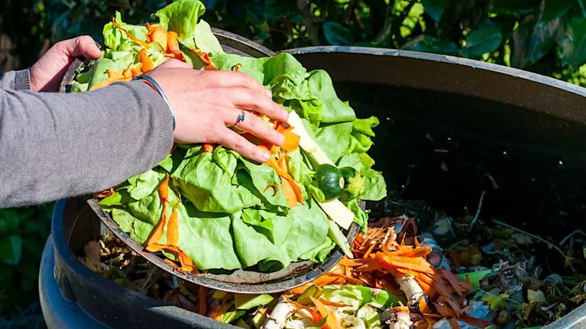 ابتكار صندوق ذكي يعالج بقايا الطعام المهدر في المنازل
