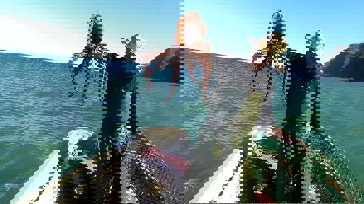 صيد الأخطبوط المغربي.. تقييد حكومي ومخاوف من خسارة أسواق التصدير