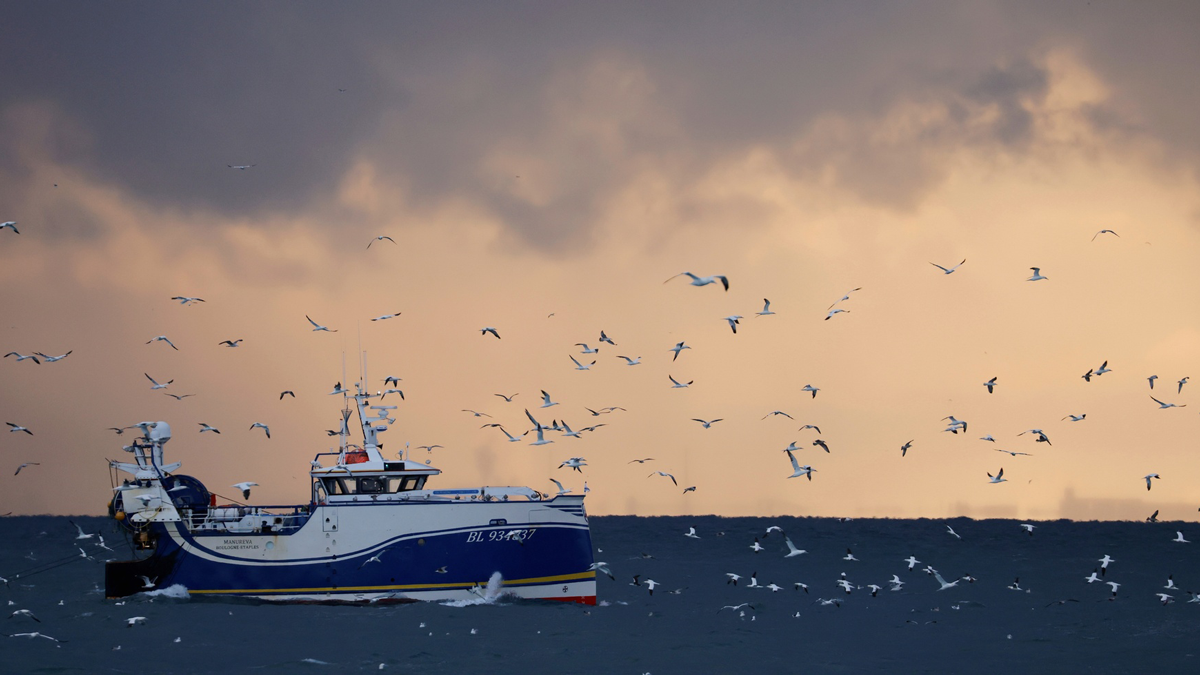 أوروبا تتخلى عن ربع حصتها بالصيد في مياه بريطانيا بموجب اتفاق ما بعد "بريكست"