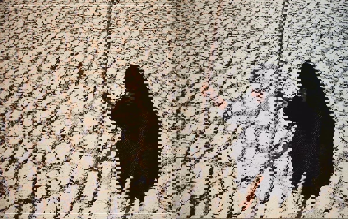 الجفاف يكلف أهوار العراق هجرة 80% من سكانها ونفوق آلاف رؤوس الماشية