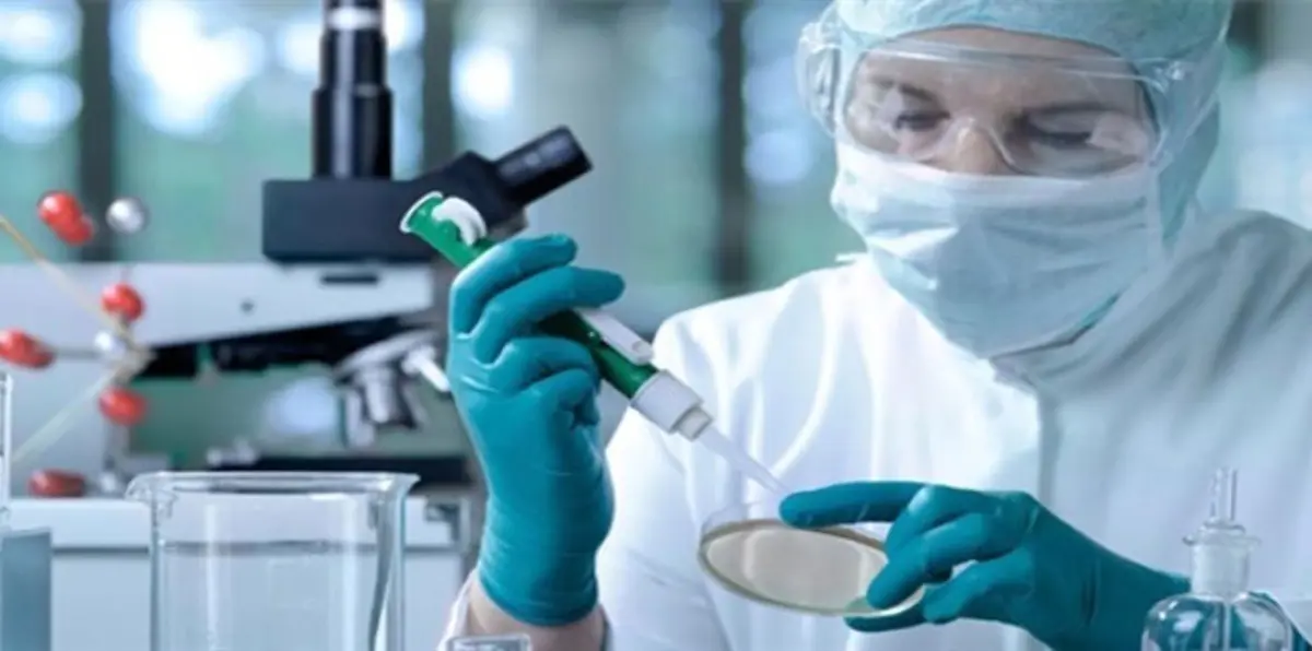 اكتشاف بكتيريا في الأمعاء قادرة على قتل الجراثيم المقاومة للمضادات الحيوية