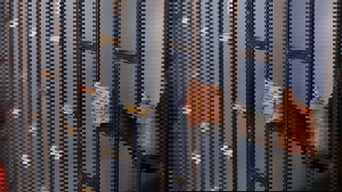 الكويت.. السجن لمتهم قتل شقيقه تحت تأثير المخدرات