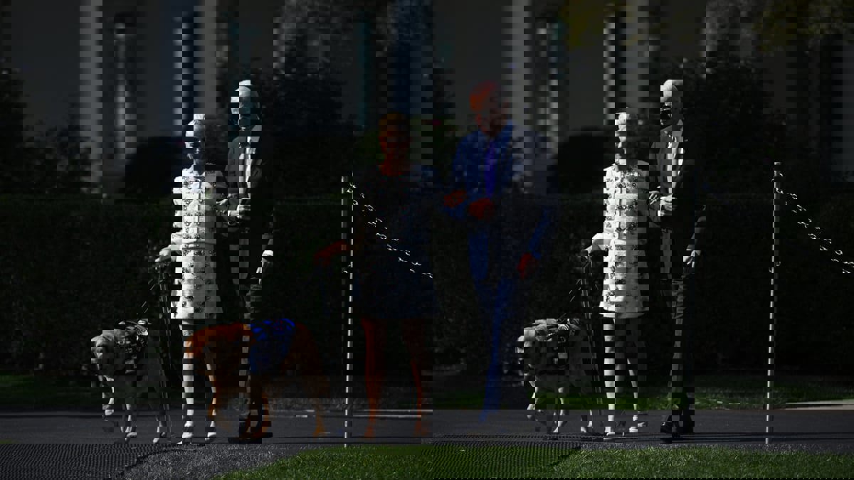 استبعاد كلب جو بايدن "كوماندر" من البيت الأبيض