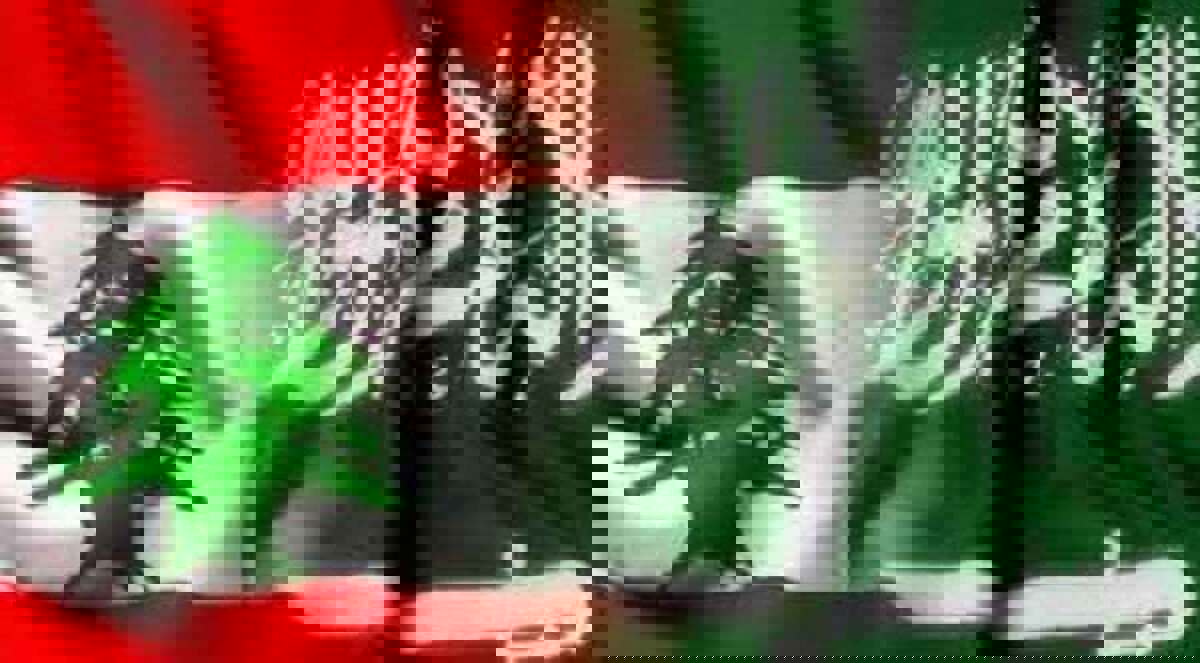 رفقا بلبنان يا أشقاء!