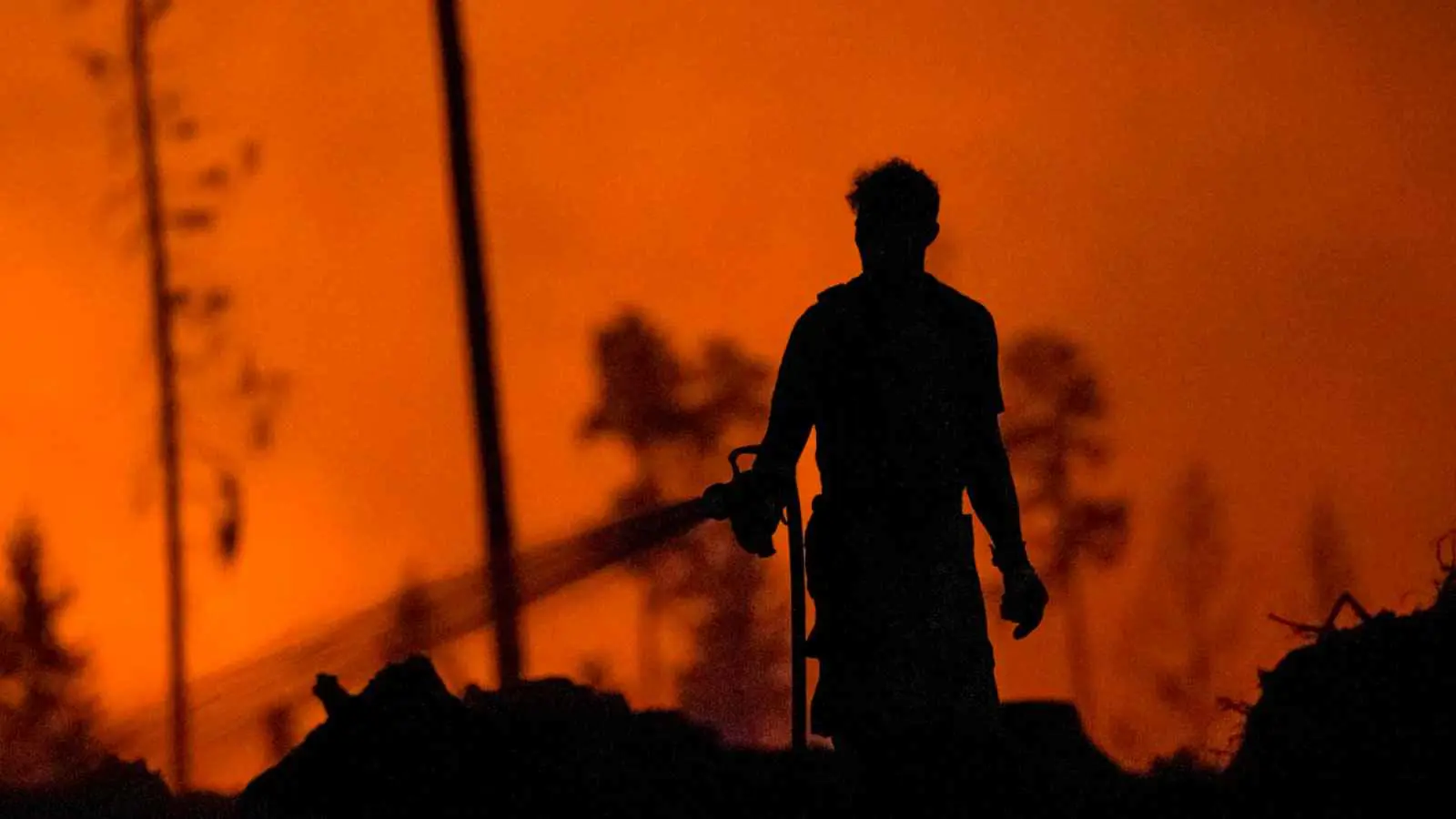 فرق الإطفاء تسابق الزمن لاحتواء حرائق الغابات شرق ألمانيا