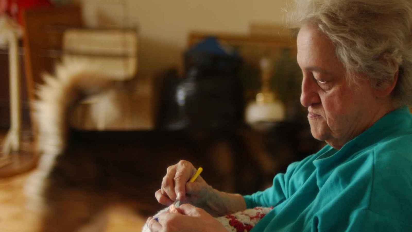 دار "رعب" لا رعاية.. مسنّون مقيدون تحت الأرض في الهند