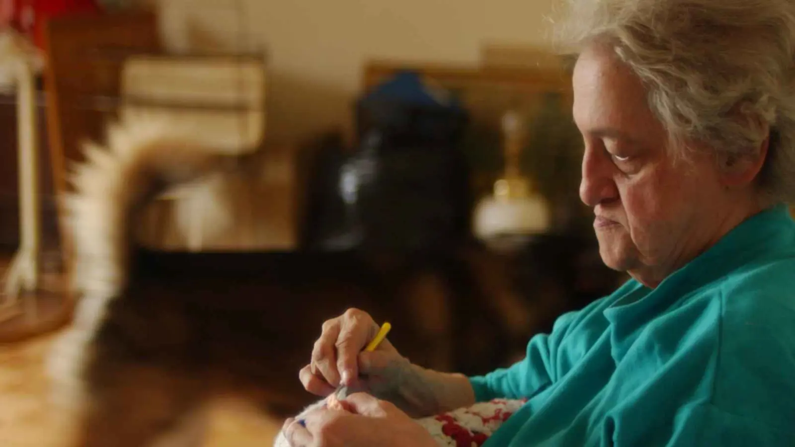 دار "رعب" لا رعاية.. مسنّون مقيدون تحت الأرض في الهند