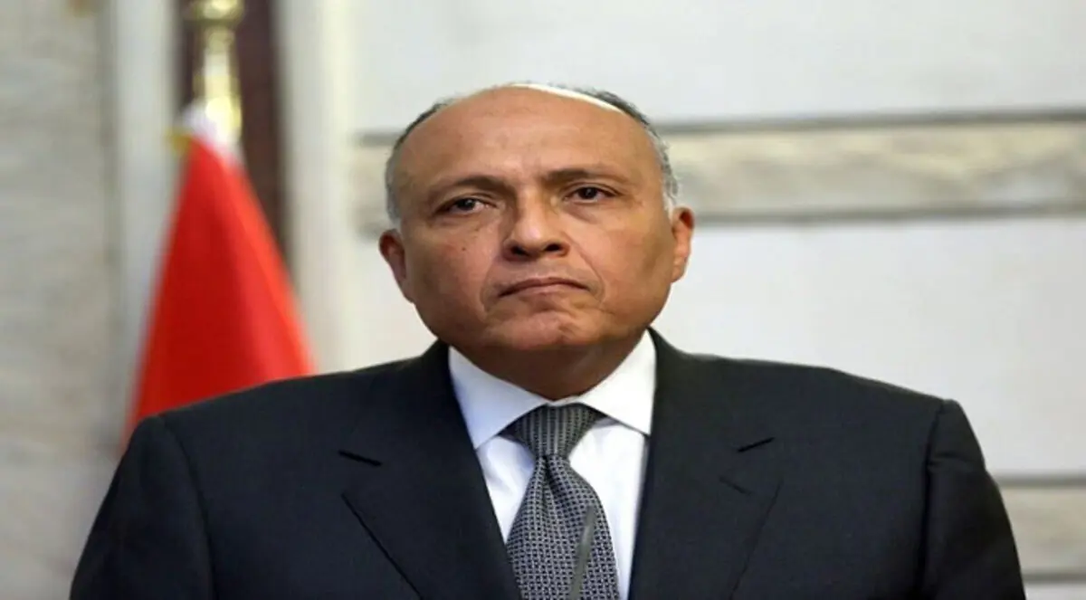 3 ملفات تنتظر الخارجية المصرية خلال 2015