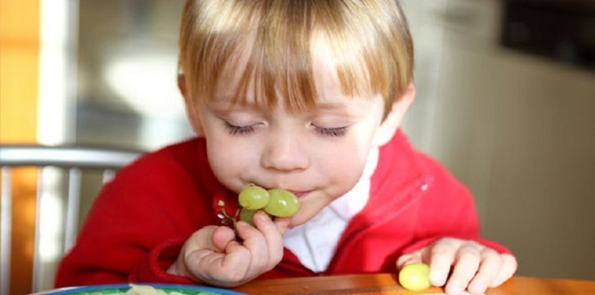 دراسة تحذّر من إطعام الطفل عنبًا بطريقة تؤدي للوفاة