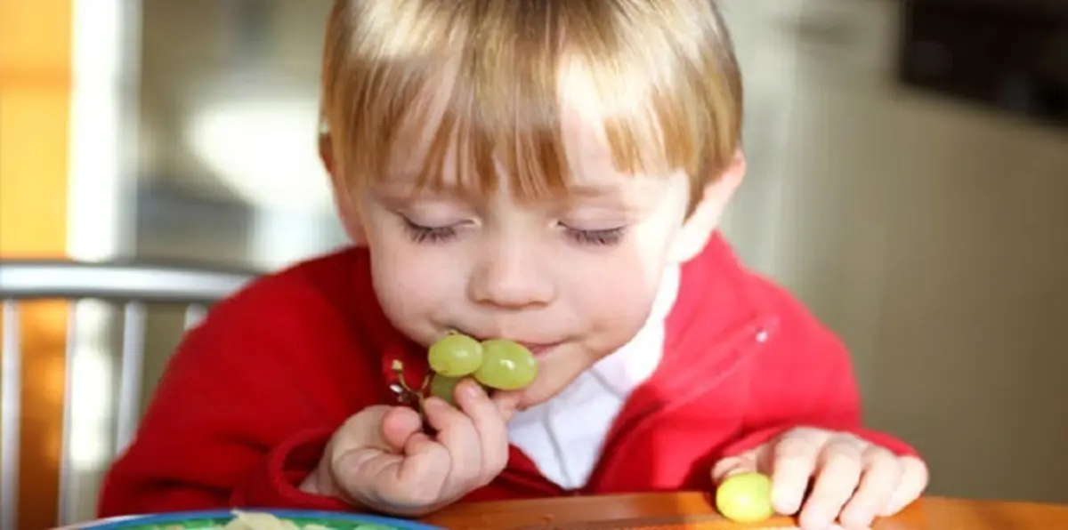 دراسة تحذّر من إطعام الطفل عنبًا بطريقة تؤدي للوفاة