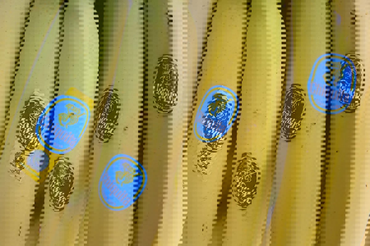 لعلاقتها بمسلحين في كولومبيا.. محكمة أمريكية تلزم شركة موز بدفع 38 مليون دولار 