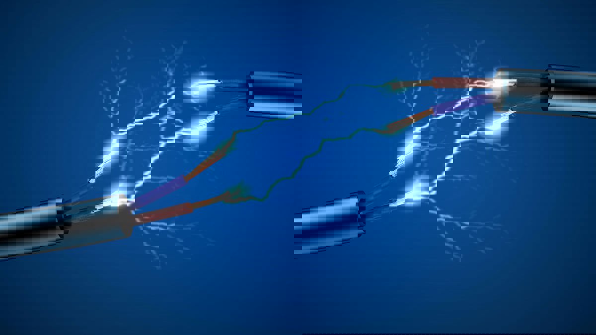 الكويت.. مصرع راعي إبل جراء صعقة كهربائية