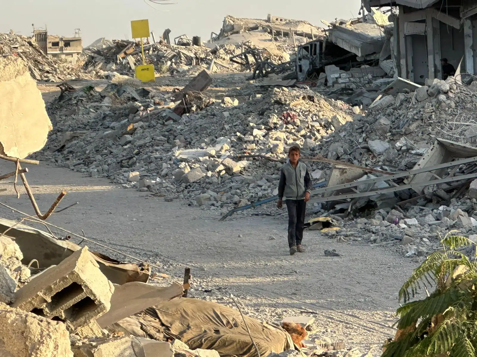 الخط الأصفر