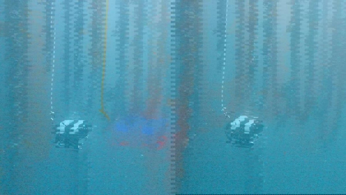 تطوير طائرة دون طيار تغوص تحت الماء