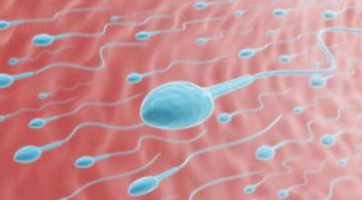 واقيات الشمس ومعجون الأسنان يدخلان في انتاج الحيوانات المنوية