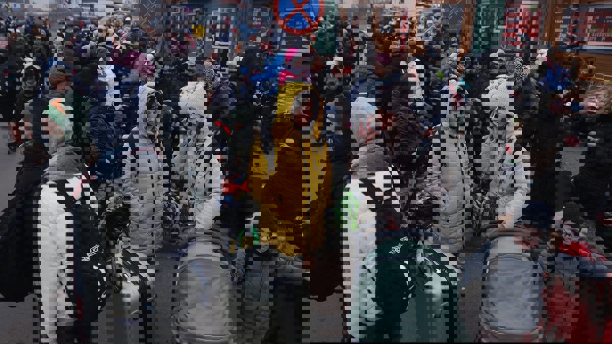 اللاجئون الأوكرانيون يزيدون عدد سكان ألمانيا لأعلى مستوياته