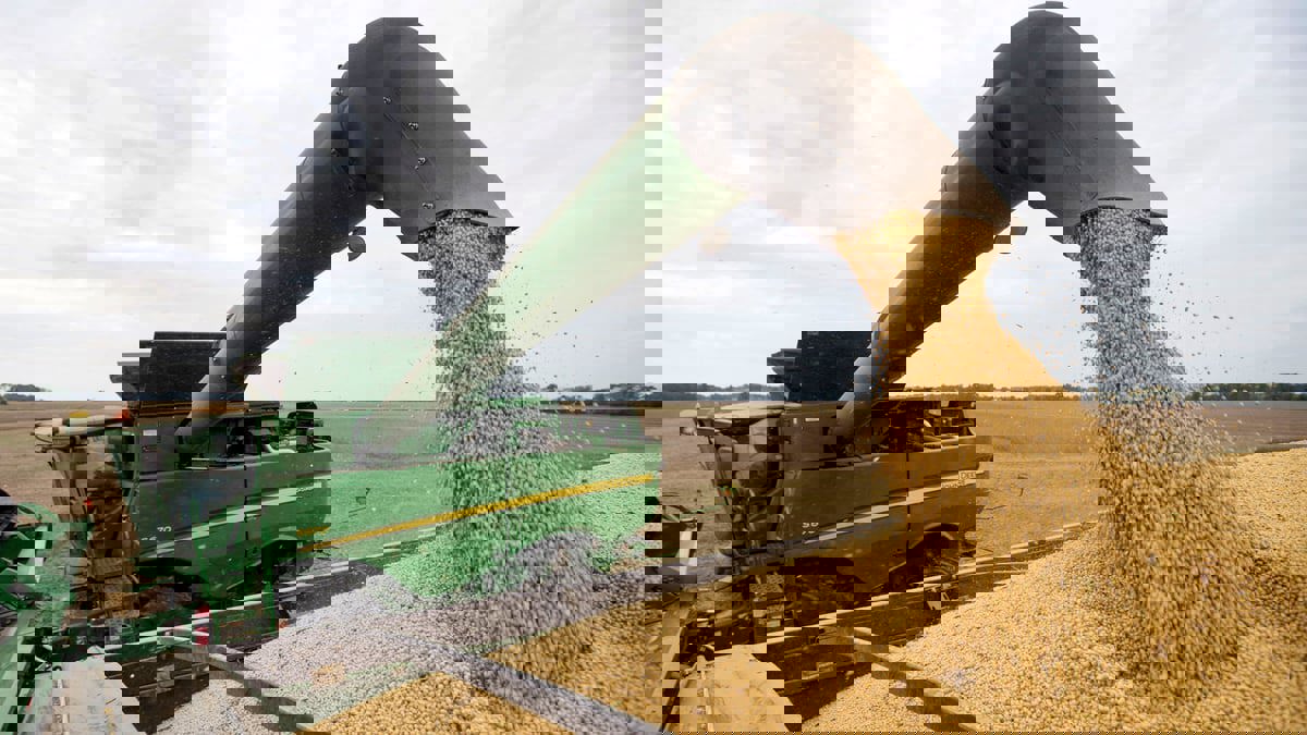 أسعار القمح والذرة الأمريكية ترتفع بعد الهجوم الروسي على أوكرانيا