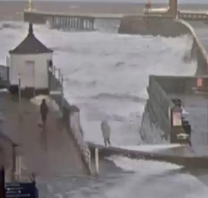 الرجل أمام الموجة